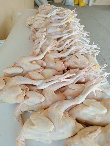 Вешалки: Ətinin dadi çox dadli temiz eti 850-950qramliq çolpalar satilir azi — 3