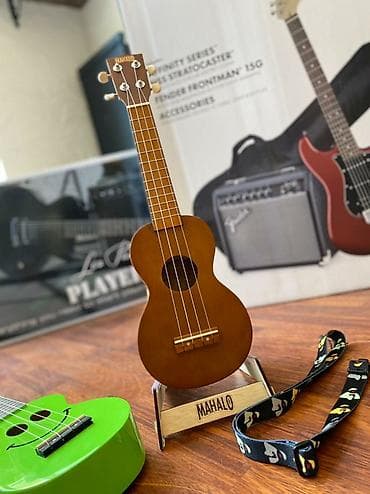 Ukulele Mağaza həftənin 7 günü saat 10:00 - 20:00 aralığında