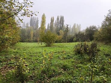 продается земельный участок: 28 sot, Maklerlər narahat etməsin, Kupça (Çıxarış) — 3