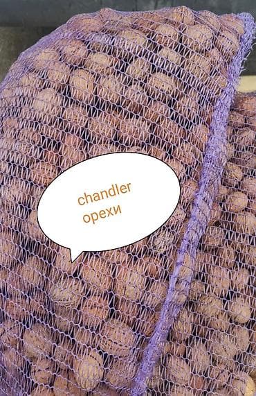 Орехи чандлер местное вырашивание с тонкой скорлупой минимальная