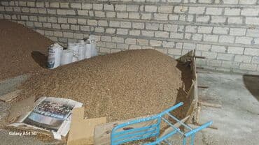 купить домик для кота: Satış: İnek yemi Qarox - Yemin hazırlanması, un dəyirmanı, quşçuluq — 1