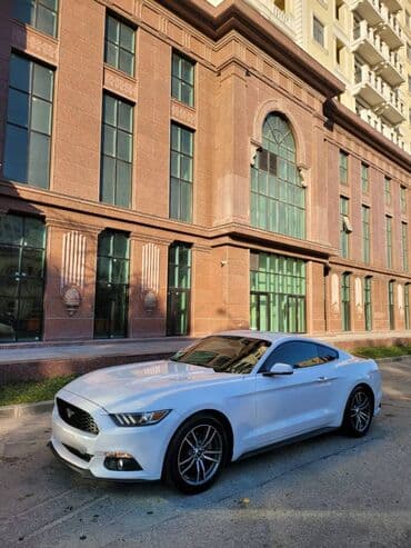 аренда авто ош матиз без залога: 2018-ci il Mustang. Toy, Nişan və digər tədbirlər üçün sifariş edə — 4