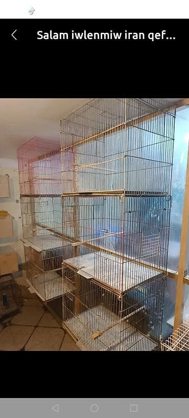 qus nömreleri: Quş qəfəsləri – iwlenmiwdir qiymet sondu 10 edet var. barter mumkundu — 1