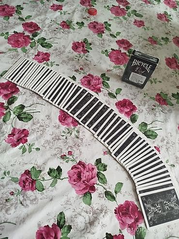 bicycle standart: Bicycle Guardians Oyun kartları,Originaldır,Az — 2