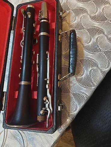 купить синтезатор бу: A klarnet fritz qanburq və hüller əla vəziyətdə ağac kökü iynə kimi — 10