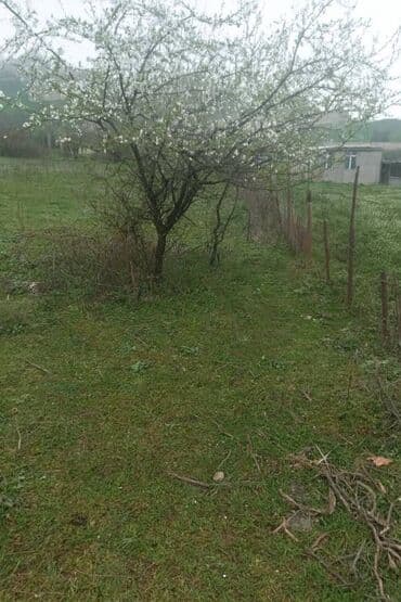 yaşmada torpaq qiymeti: 27 sot, Kupça (Çıxarış) — 2