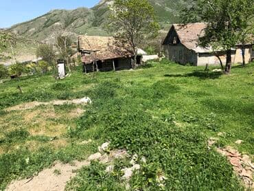 yeni əmlak sumqayıt: 30 sot, Kənd təsərrüfatı, Mülkiyyətçi, Kupça (Çıxarış) — 18