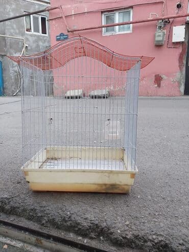 bulbul qefesi: Quş qəfəsi - Material: metal barmaqlıqlar, plastik altlıq - Ölçü — 2