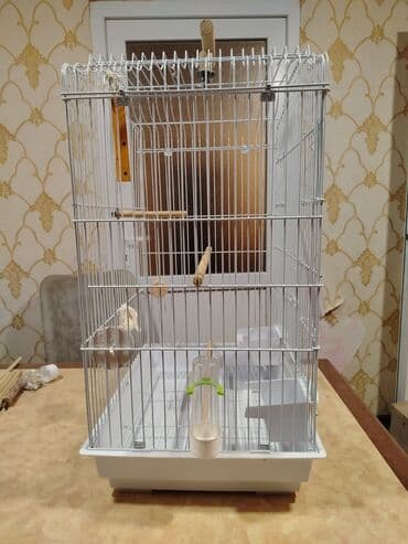 qəfəsi: Quş qəfəsi – geniş və funksional model - Rəng: ağ metal karkas, ağ — 3