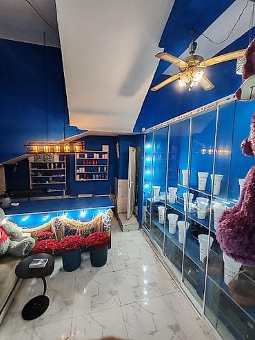 qızılgul satışı: 🌹 Blue Roses gül salonu satılır – tam hazır, işlək biznes! 📩 Əlaqə — 2