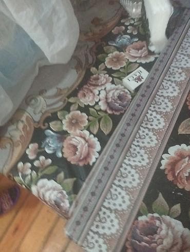 cex quslar: Mavi çərçivəli qəfəsdə bir neçə tutuquşu. Qəfəsdə ağ, sarı və mavi — 5