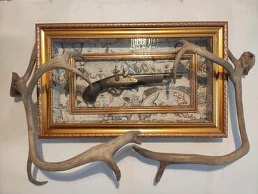 İşıqlandırma: Təbii Maral buynuzu satılır — 1