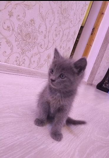 Erkək, Yaxşı əllərə, Ünvandan götürmə