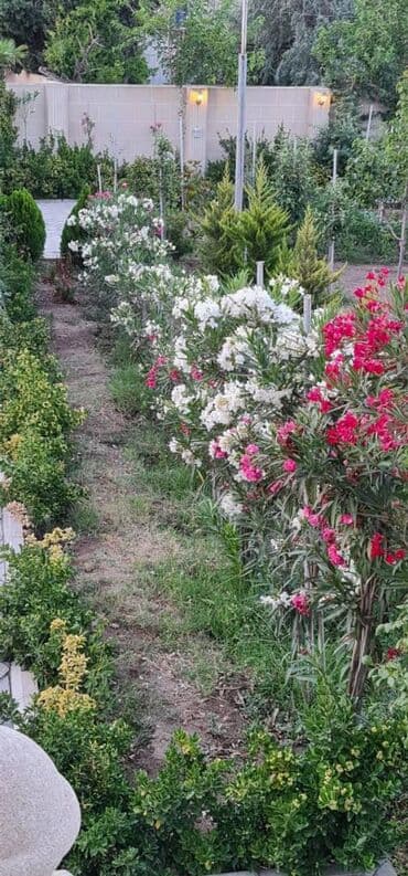 ramanada evler: Bakı, 280 kv. m, 8 otaq, Hovuzlu, Kombi, Kanalizasiya — 25