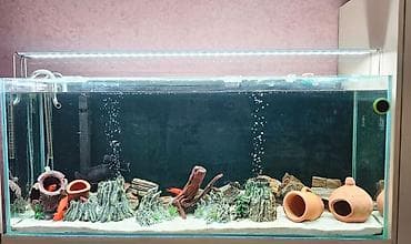 bala itlər: Dördbucaq akvarium, Balıqlarla birlikdə, 180 l, Ünvandan götürmə — 1