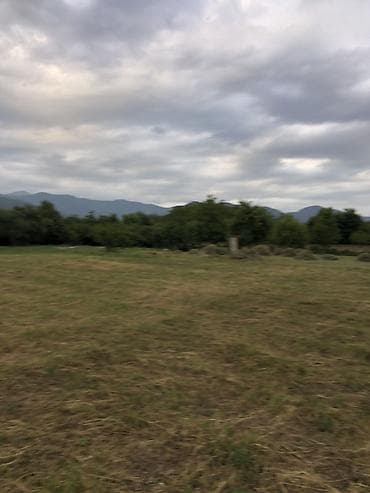 Квартиры: 52 соток, Возможен обмен, Купчая — 8