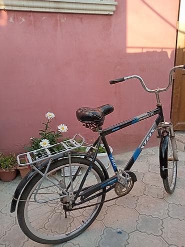 vele: Şəhər velosipedi Stels, 26", sürətlərin sayı: 1 — 1