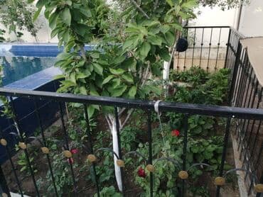 ev certiyojları: Hövsan qəs. 7 otaqlı, 234 kv. m, Yeni təmirli — 26