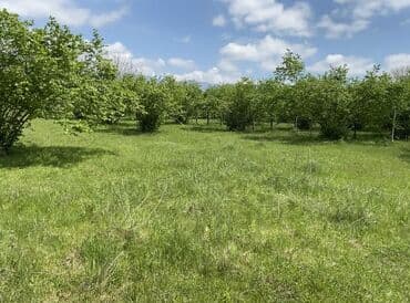 дом на колесах turbo az: 45 соток, Для строительства, Собственник, Купчая — 3