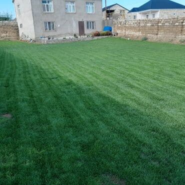 göbələk toxumu satişi: Qazon çatrlma qurasdrma
#qazon
qazonsatişi
#qachon
#qazon — 3