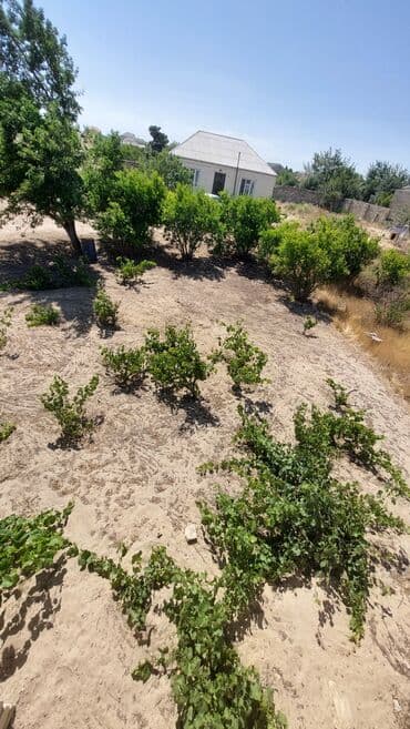 sulutəpə çiçək qəsəbəsi: 12 sot, Tikinti, Maklerlər narahat etməsin, Kupça (Çıxarış) — 9