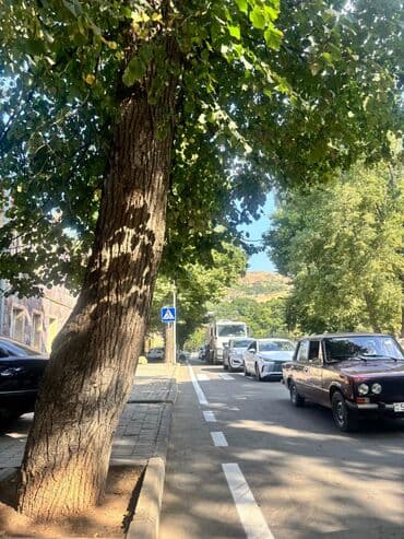 kiraye ev azadliq metrosu: 13 sot İşıq — 30