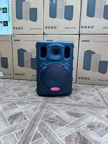 Kolonka MAX J-1408 Active Səs Daxili gücləndirici (Active) 2 mikrofon — 2
