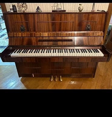 Piano, Belarus, Akustik