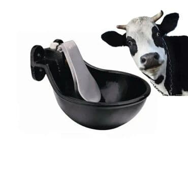 Yem qabı, Su üçün, Heyvanlar üçün, Ünvandan götürmə, Pulsuz çatdırılma, Ödənişli çatdırılma lalafo.az -da Yem qabı, Su üçün, Heyvanlar üçün, Ünvandan götürmə, Pulsuz çatdırılma, Ödənişli çatdırılma