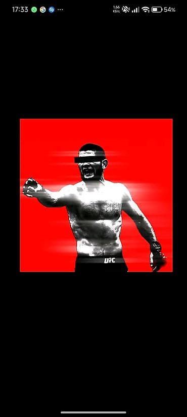 herbi profil sekilleri: Məhsul: UFC mövzusunda rəqəmsal posterlər (set) Təsvir: - Qrafik — 4