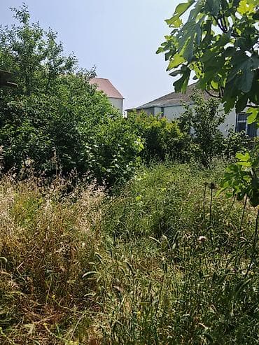 nefci: Tikinti üçün tam yararlı torpaq sahəsi satılır. ✅ Etibarnamə (99 — 4