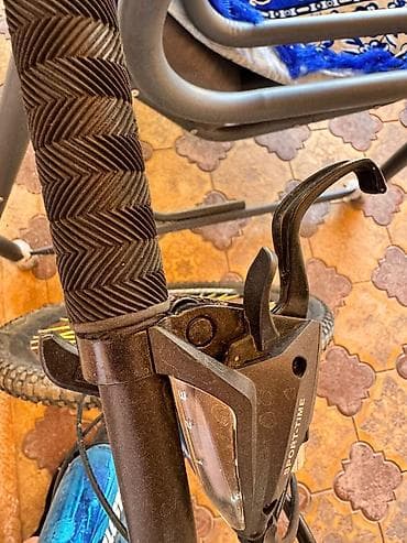 velsobet: Paçeniki xarabdır — 6