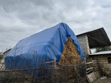 heyvanlara verilen adlar: Məhsul: Balya ot (saman) Təsvir: - Anbarda yığılmış, sıx balyalar — 3