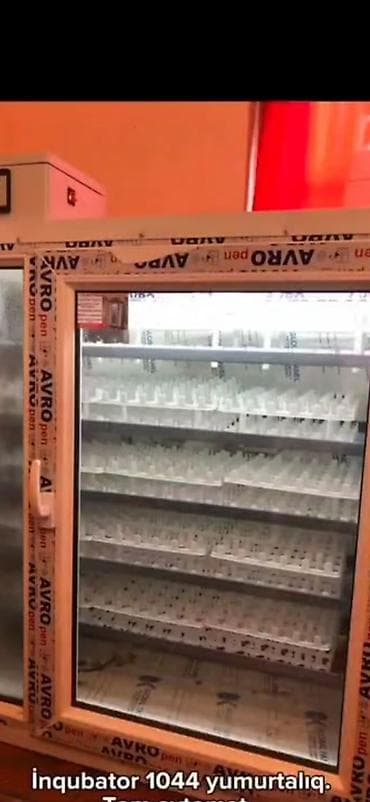 Оборудование для мойки: 1100 яиц, Полностью автоматическая — 1