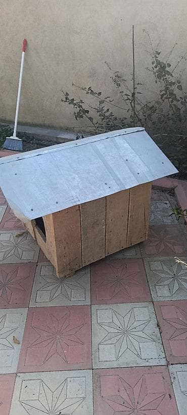 Gəmiricilər: It yuvası. qalın taxtalardan hazırlanıb. ünvan qaraçuxur — 2