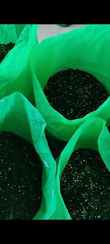 kisi hediyye: Məhsul: “YAŞIL HƏYAT” torf qarışığı – 100% üzvi tərkibli, 20 litrlik — 4