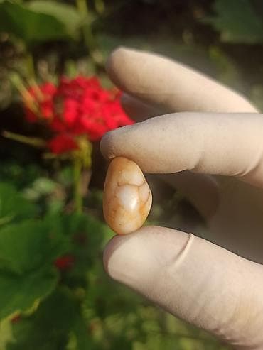 salcano baki: Təbii dekorativ daşlar dəsti 💎 Jasper + Kalsedon ✨ Enerji və Uğurun — 2