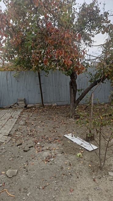 Qarajlar: 3 sot, Tikinti, Makler, Kupça (Çıxarış) — 1