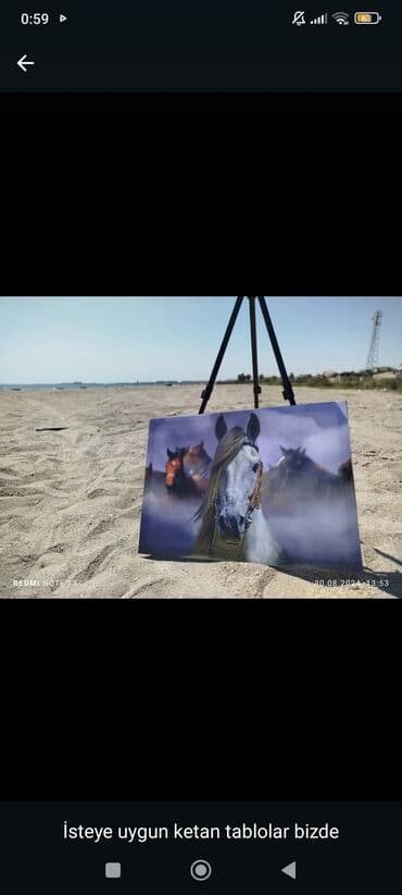 məktəb şəkilləri: Kətan üzərində dekorativ tablolar - İstəyə uyğun fərdi dizaynlar — 16