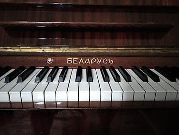 Qarmonlar: Tecili satilir Sumqayitda — 6