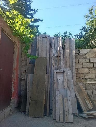 dik satisi: Diktlər, 18 mm, Ödənişli çatdırılma — 1