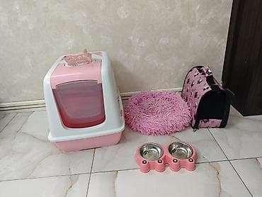 Pişik aksesuarları dəsti – çəhrayı rəngdə Dəst tərkibi: - Qapalı lalafo.az -da Pişik aksesuarları dəsti – çəhrayı rəngdə Dəst tərkibi: - Qapalı