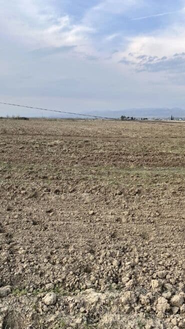 sekide satilan torpaqlar 2021: 305 sot, Kənd təsərrüfatı, Kupça (Çıxarış) — 3