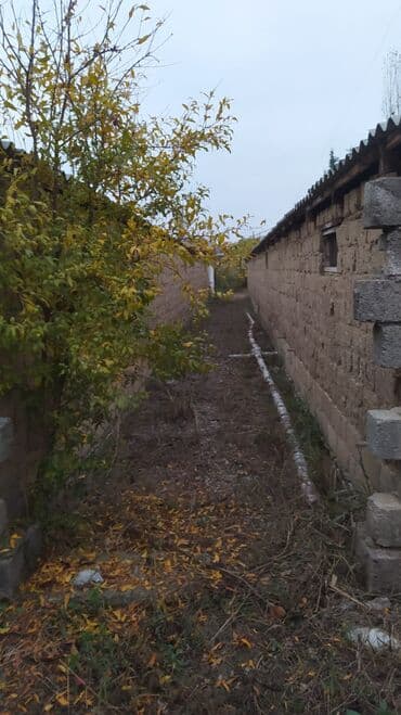 pirşağı torpağ: 10 sot, Biznes üçün, Mülkiyyətçi, Kupça (Çıxarış) — 5