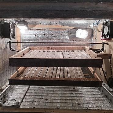 inkübatör: Azərbaycan, Bütün növ quşlaq üçün — 7