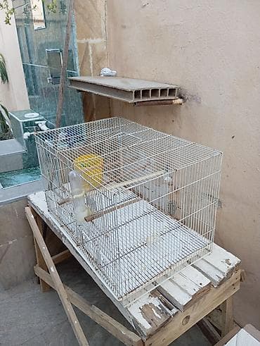 Quş qəfəsi,hamster qefesi, dovşan qəfəsi ve s - Material: metal torlu