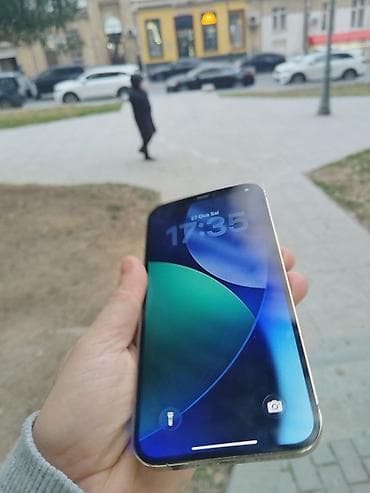 apple 8 pulus: IPhone 12 Pro Max, 256 GB, Qızılı, Face ID — 2