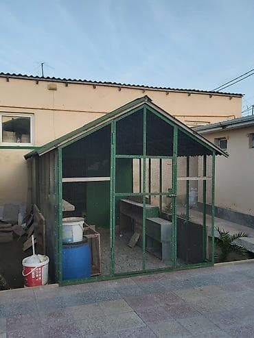 quşxana satılır: Geniş quşxana satılır.Əlaqə üçün 0509995556 — 3