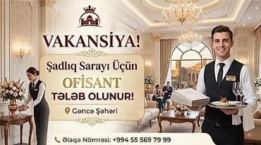 qar tekeri: Ofisiant tələb olunur, Gündəlik ödəniş — 1