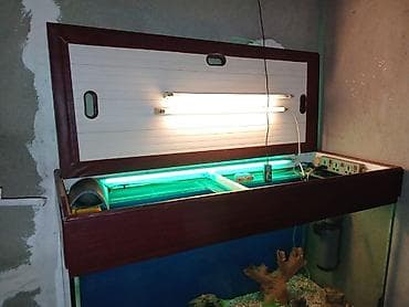 akva ayaqabılar: Dördbucaq akvarium, Boş, 297 l, Ünvandan götürmə — 5